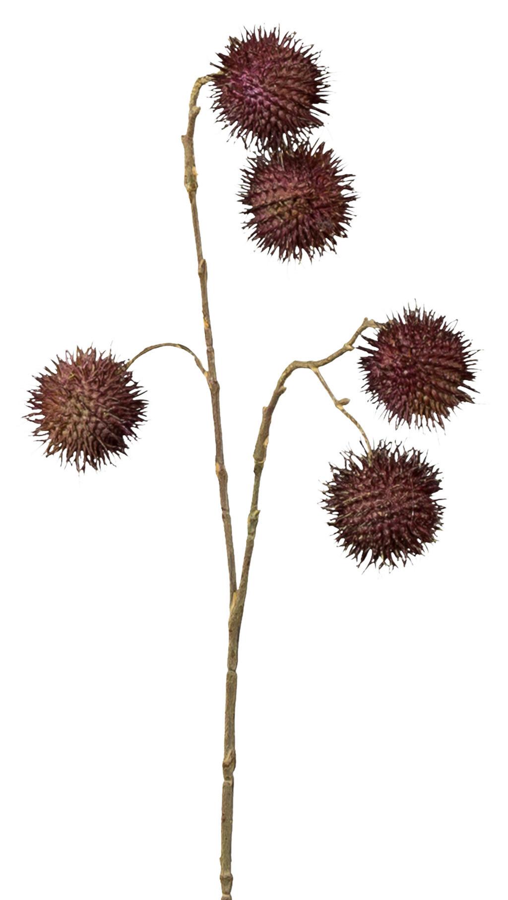 Kunstpflanze Platanenzweig Aubergine L: 44 cm, Kris - Aubergine/Braun, MODERN, Kunststoff (44cm)