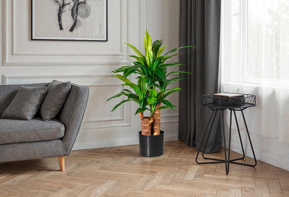 Kunstpflanze Drachenbaum H: 80 Cm - Schwarz/Braun, Design, Kunststoff (80cm) - P & B