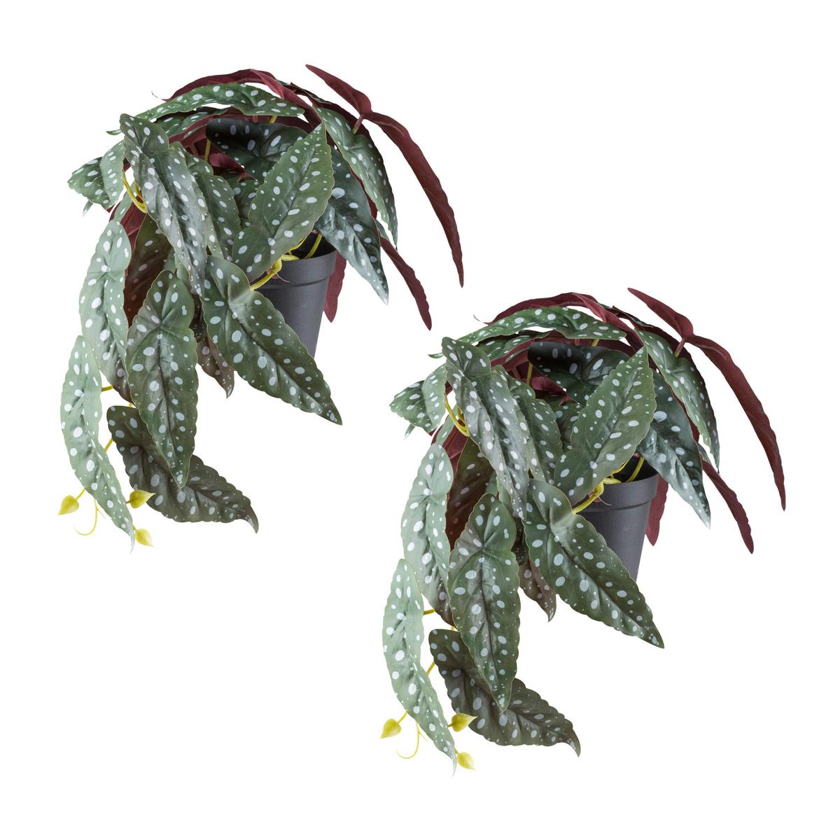 Kunstpflanze, Grün, Rot Weiß, inkl. Topf, H: 24 cm - Rot/Schwarz, Design, Kunststoff (24cm) - P & B