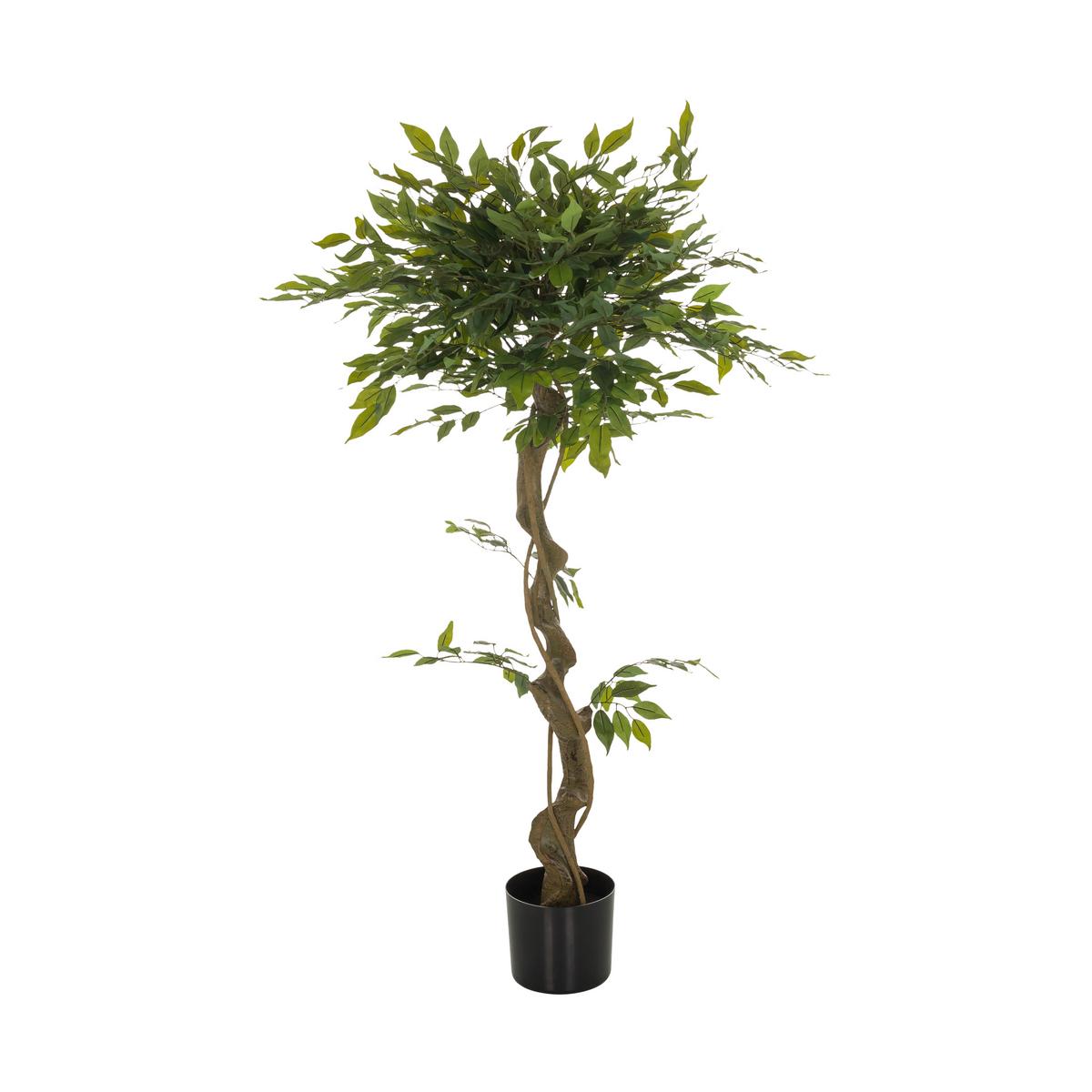 Kunstpflanze Ficus I - Schwarz/Braun, Basics, Kunststoff (70/120/70cm) - MID.YOU