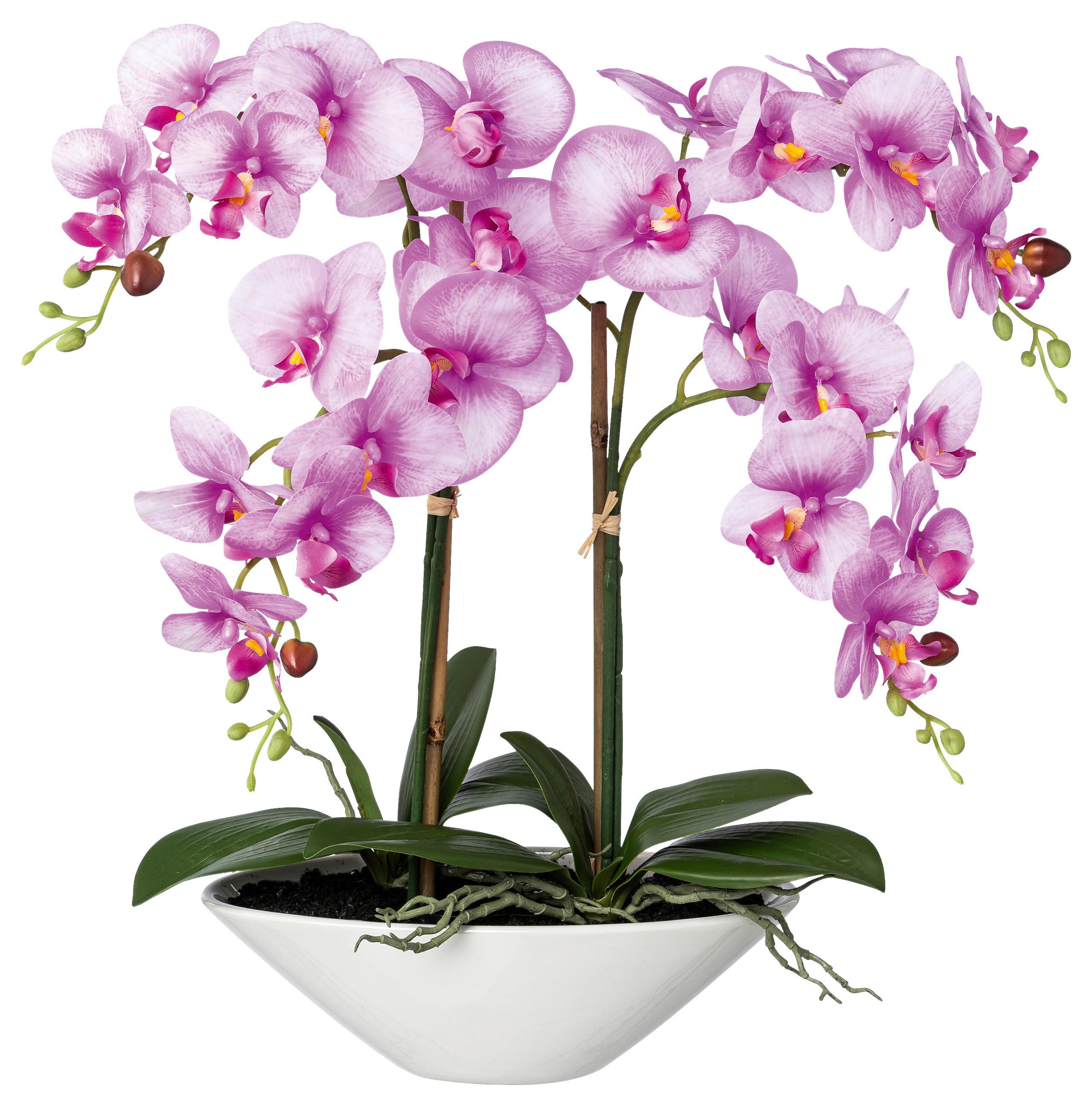 Kunstpflanze Orchideen Lila, Topf: Weiß, H: 53 cm - Lila/Weiß, Design, Keramik/Kunststoff (53cm) - P & B