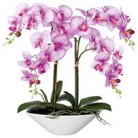 Kunstpflanze Orchideen Lila, Topf: Weiß, H: 53 cm - Lila/Weiß, Design, Keramik/Kunststoff (53cm) - P & B