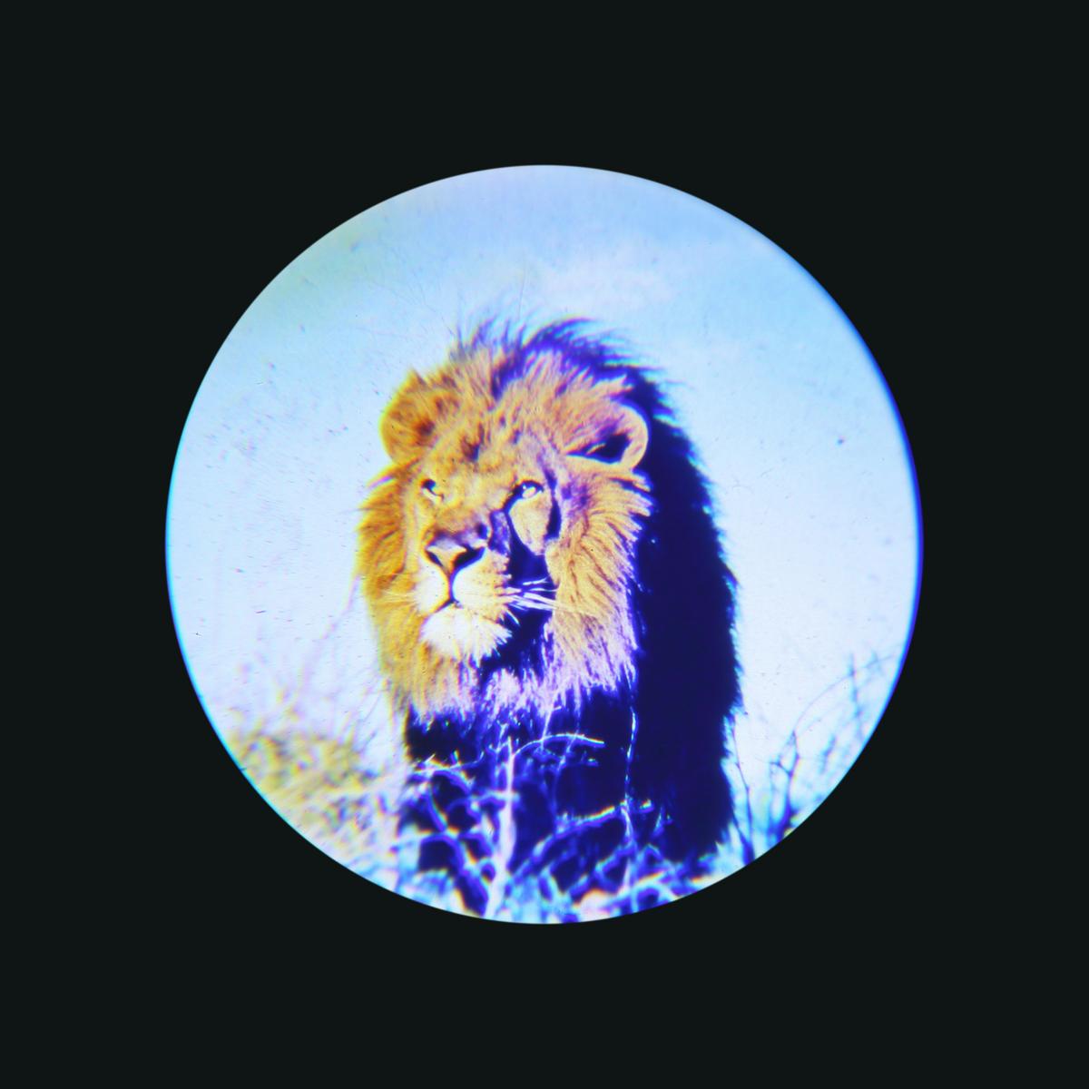 Led-dekoleuchte Mit Usb Kabel - Blau/Rot, Trend, Kunststoff (9,5/7/18,5cm) - Globo