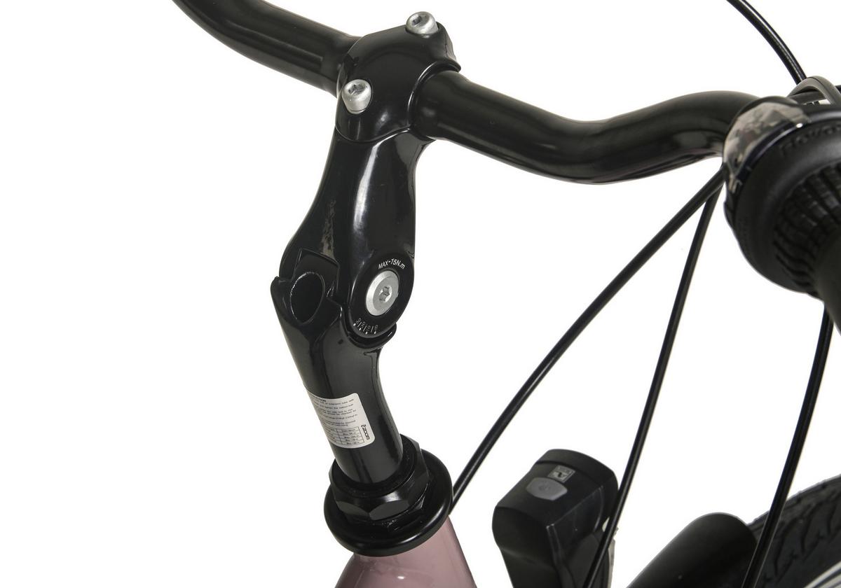 Citybike Hollandia City Next Hellrosa, 28 Zoll - Hellrosa, Basics, Metall (25/140/60cm)