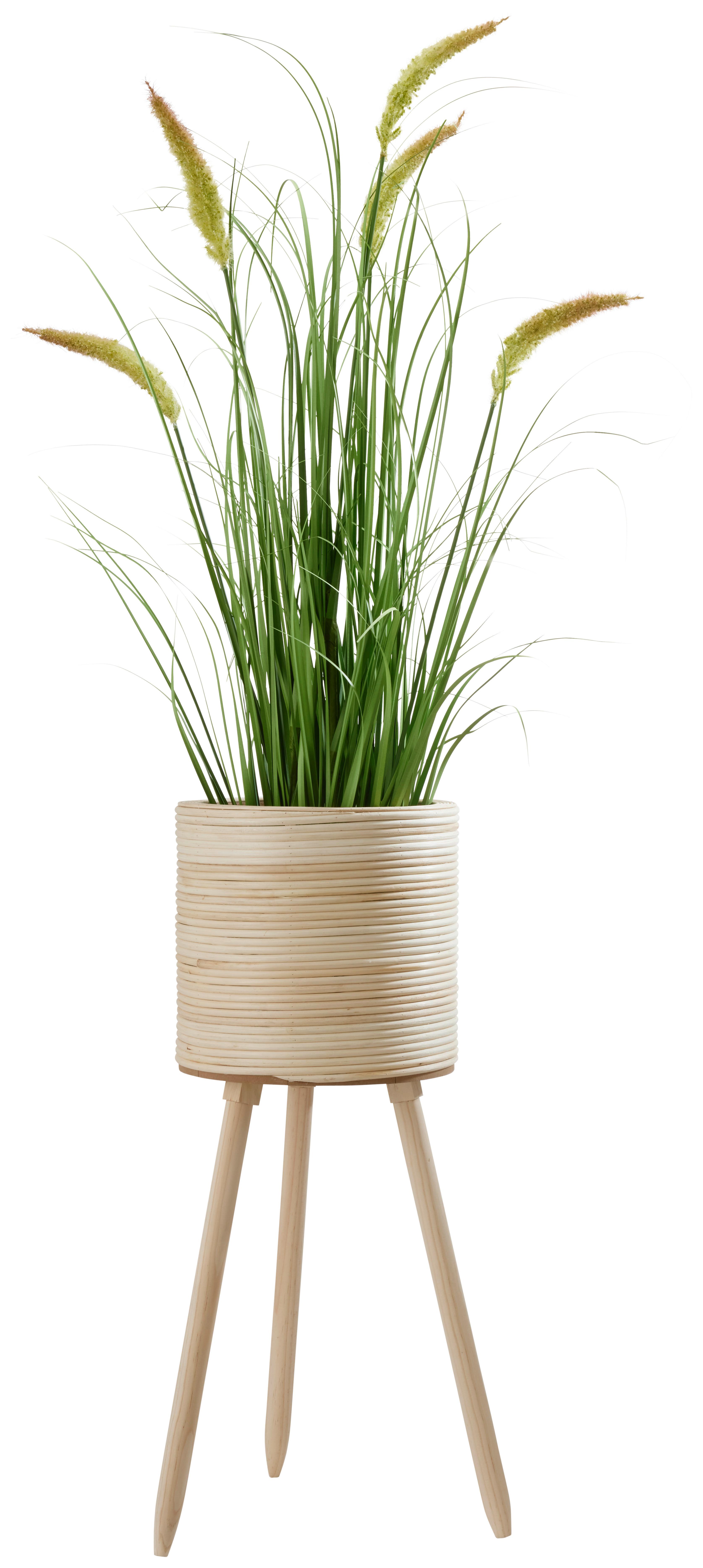 Obal Na Květináč Bamboo, V: 65,5cm - přírodní barvy, dřevo (26/65,5cm) - Premium Living