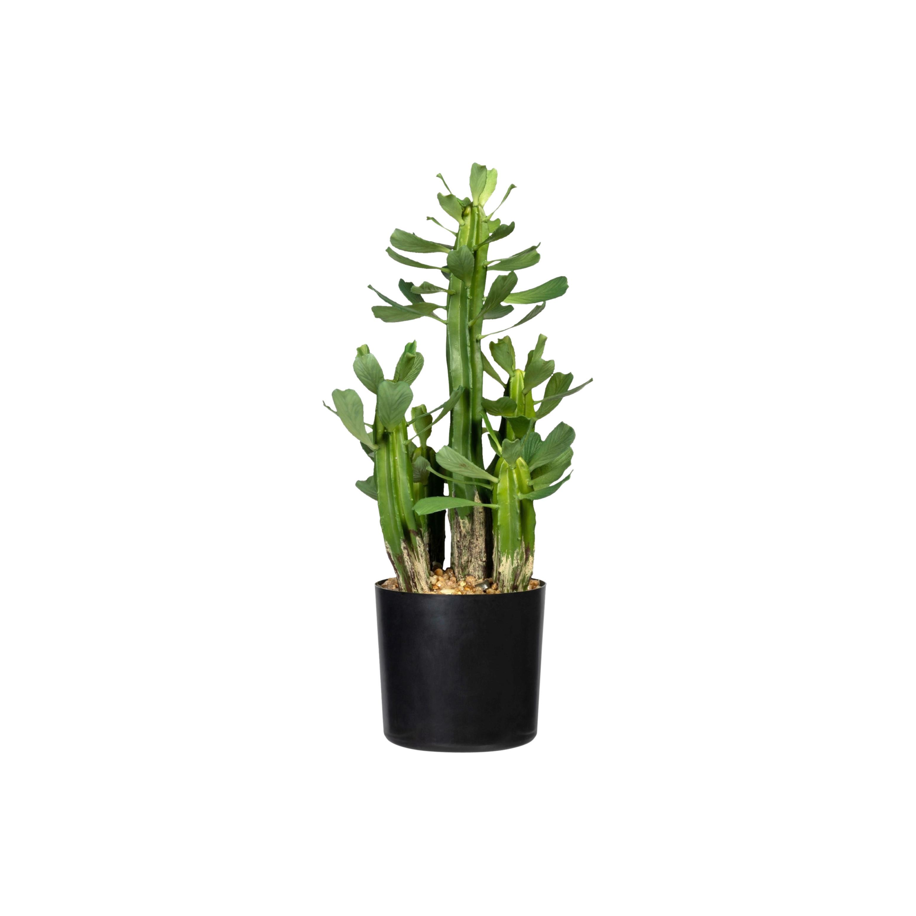 Kunstpflanze Grün/Schwarz, 40 cm - Schwarz/Grün, Design, Kunststoff (40cm) - P & B