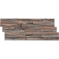 Wandverkleidung Teak Elegance Gun Smoked - Hellbraun, Basics, Holz (50/20/2cm)