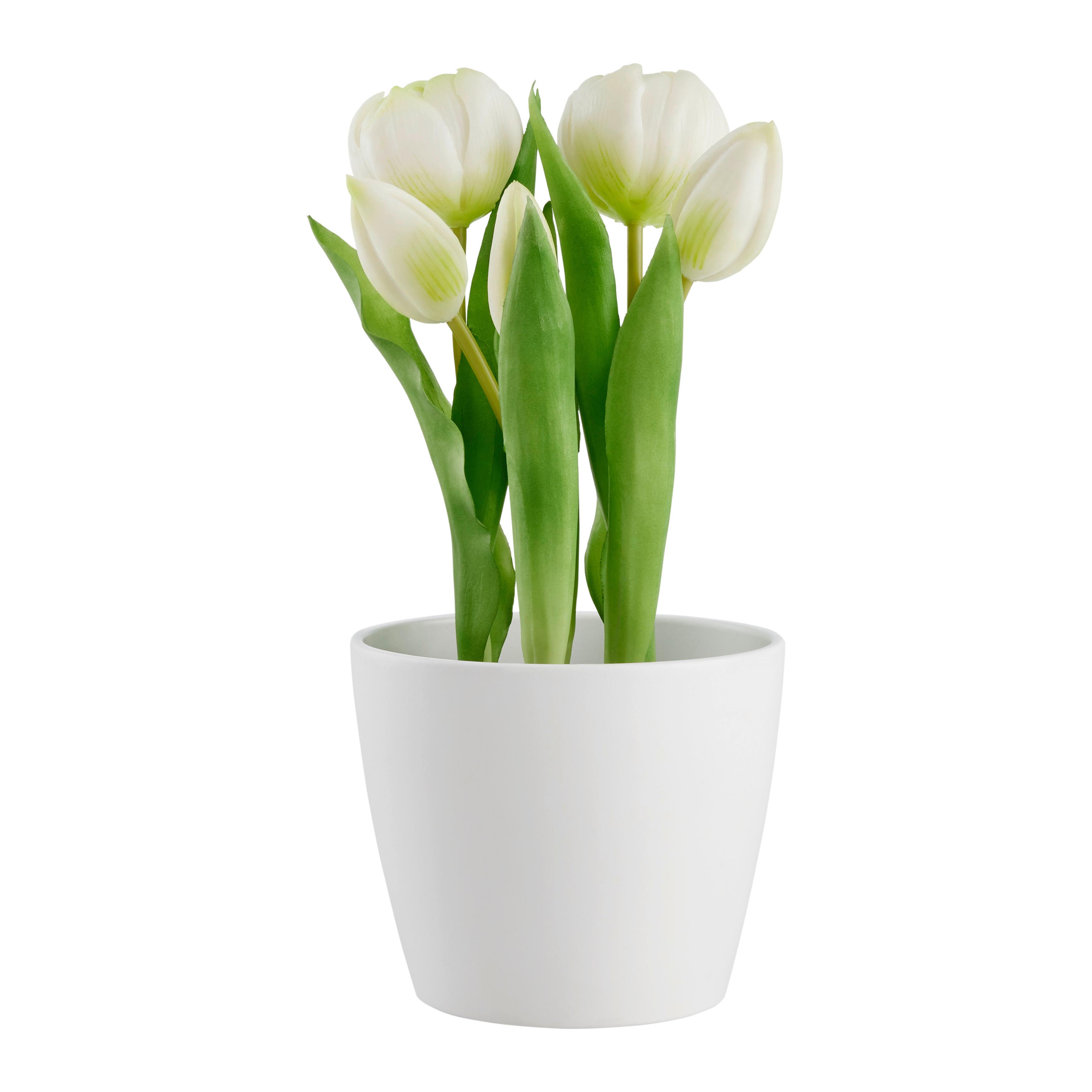 Umelá rastlina Tulipány, V: 25cm - čierna/biela, Basics, plast (25cm) - Modern Living