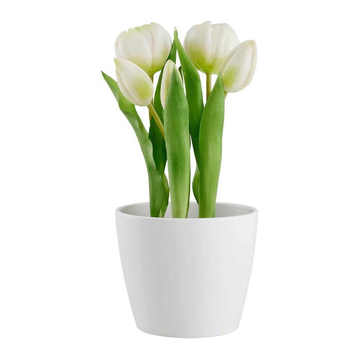 Umelá rastlina Tulipány, V: 25cm - čierna/biela, Basics, plast (25cm) - Modern Living