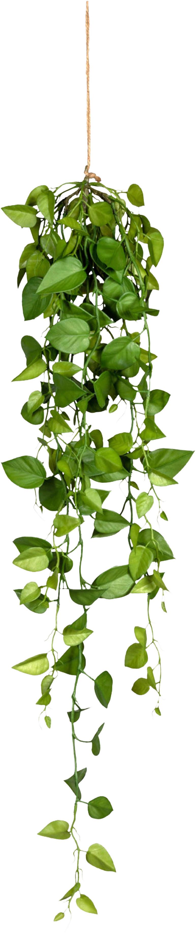 Kunstpflanze, Philodendron inkl. Aufhängung, H: 95 cm - Grün, Design, Kunststoff (95cm) - P & B
