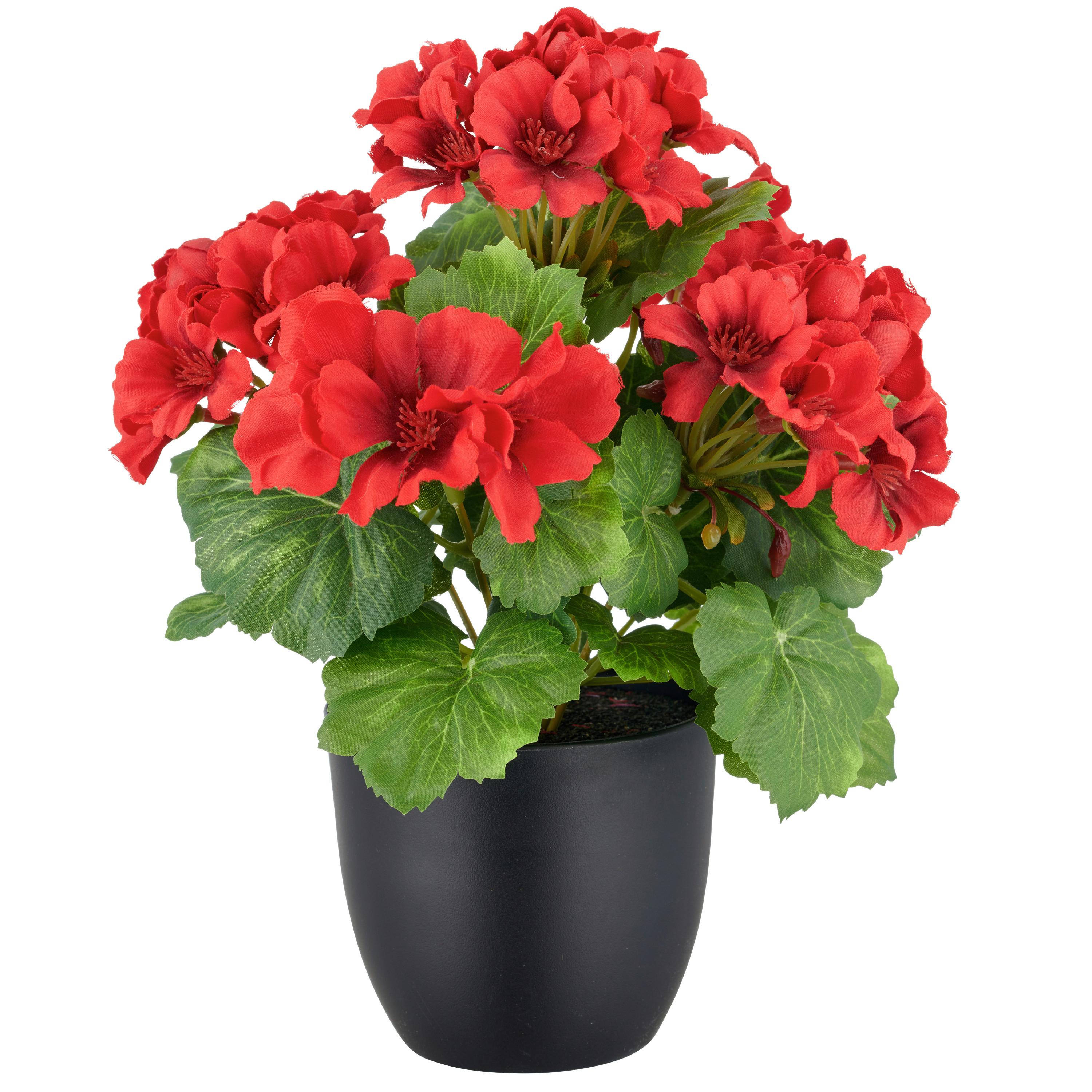 Kunstpflanze Rot Grün Schwarz B: 14 cm - Rot/Schwarz, Basics, Kunststoff (14/38/14cm) - P & B