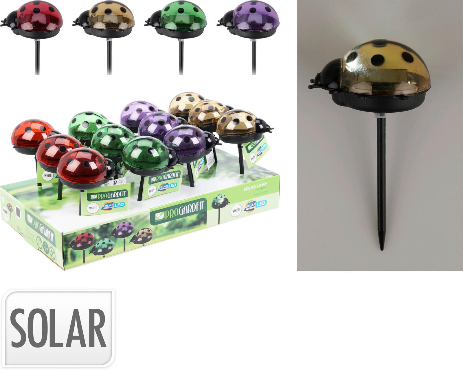 Szolárlámpa Katicabogár Alakú - Basics, műanyag (7/6/12cm)