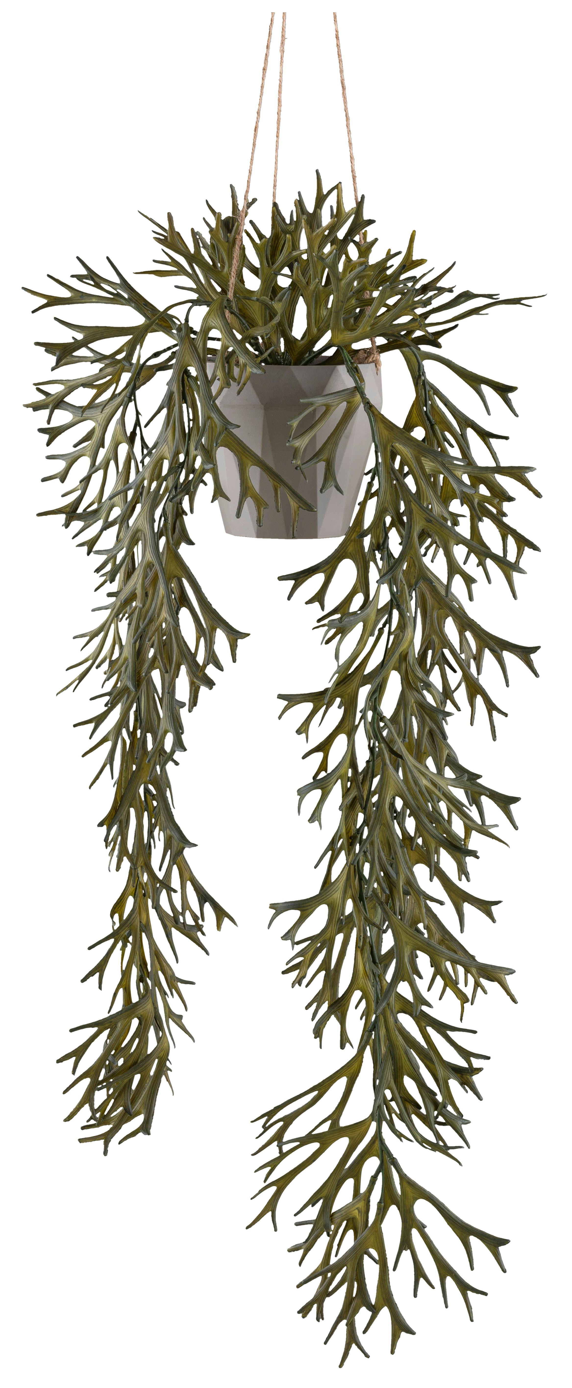 Umělá rostlina PLATYCERIUM, Výška 70cm - šedá/olivově zelená, Konvenční, plast (70cm) - Mömax