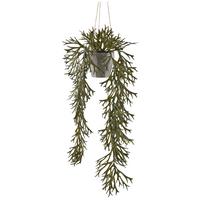 Umělá rostlina PLATYCERIUM, Výška 70cm - šedá/olivově zelená, Konvenční, plast (70cm) - Mömax