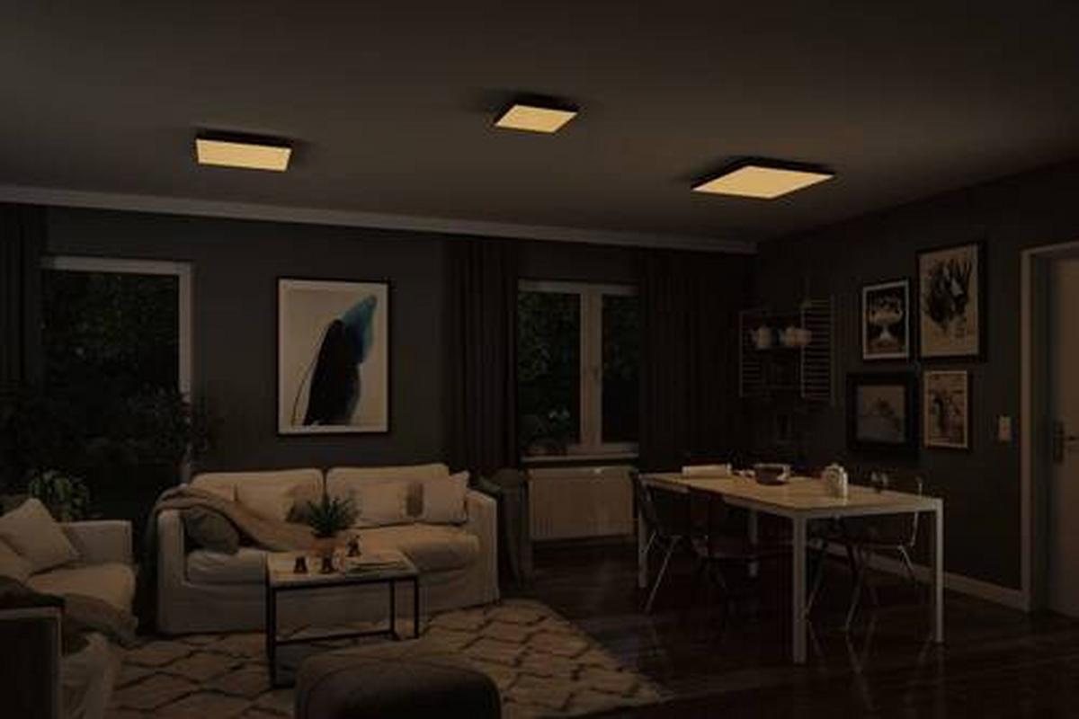 Led-paneel L: 29,5 Cm Dimmbar - Schwarz, Basics, Metall (29,5/29,5/6,4cm) - Paulmann