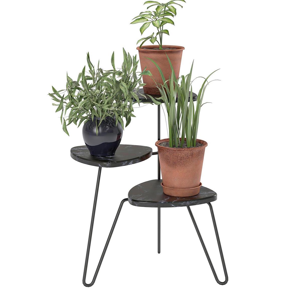 Blumenständer Athena Schwarz B: 55cm - Schwarz, Design, Holzwerkstoff/Metall (55/63/52cm) - MID.YOU