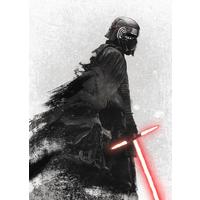 Fototapete Star Wars Kylo Vader Shadow - Schwarz/Weiß, Trend, Textil (200/280cm)