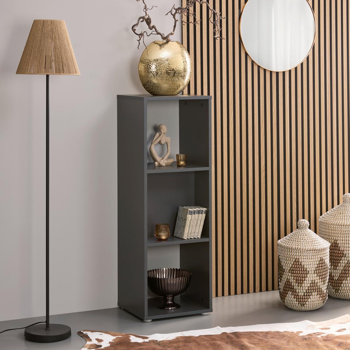 Regal Pisa 13 Anthrazit B: 38,4 Cm - Anthrazit, Trend, Holzwerkstoff (38,4/113/35cm)