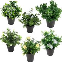 Kunstpflanze Weiß/Grün H: 23 cm Im Topf, Cassandra - Schwarz/Weiß, Basics, Kunststoff (15/23cm) - Luca Bessoni