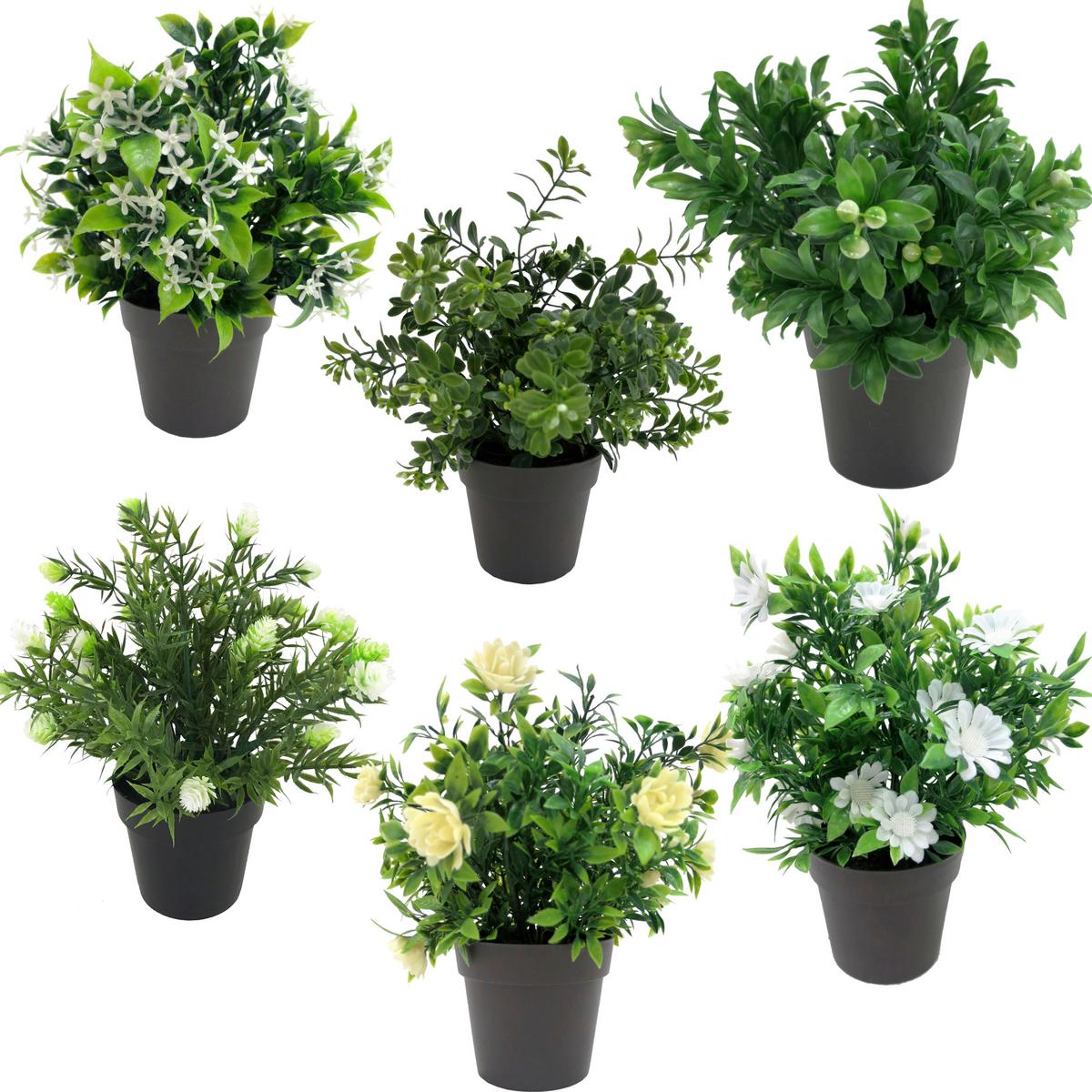 Kunstpflanze Weiß/Grün H: 23 cm Im Topf, Cassandra - Schwarz/Weiß, Basics, Kunststoff (15/23cm) - Luca Bessoni