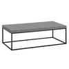 Couchtisch Grau L: 120 cm - Schwarz/Grau, Design, Holzwerkstoff/Metall (120/60/38cm) - Livetastic