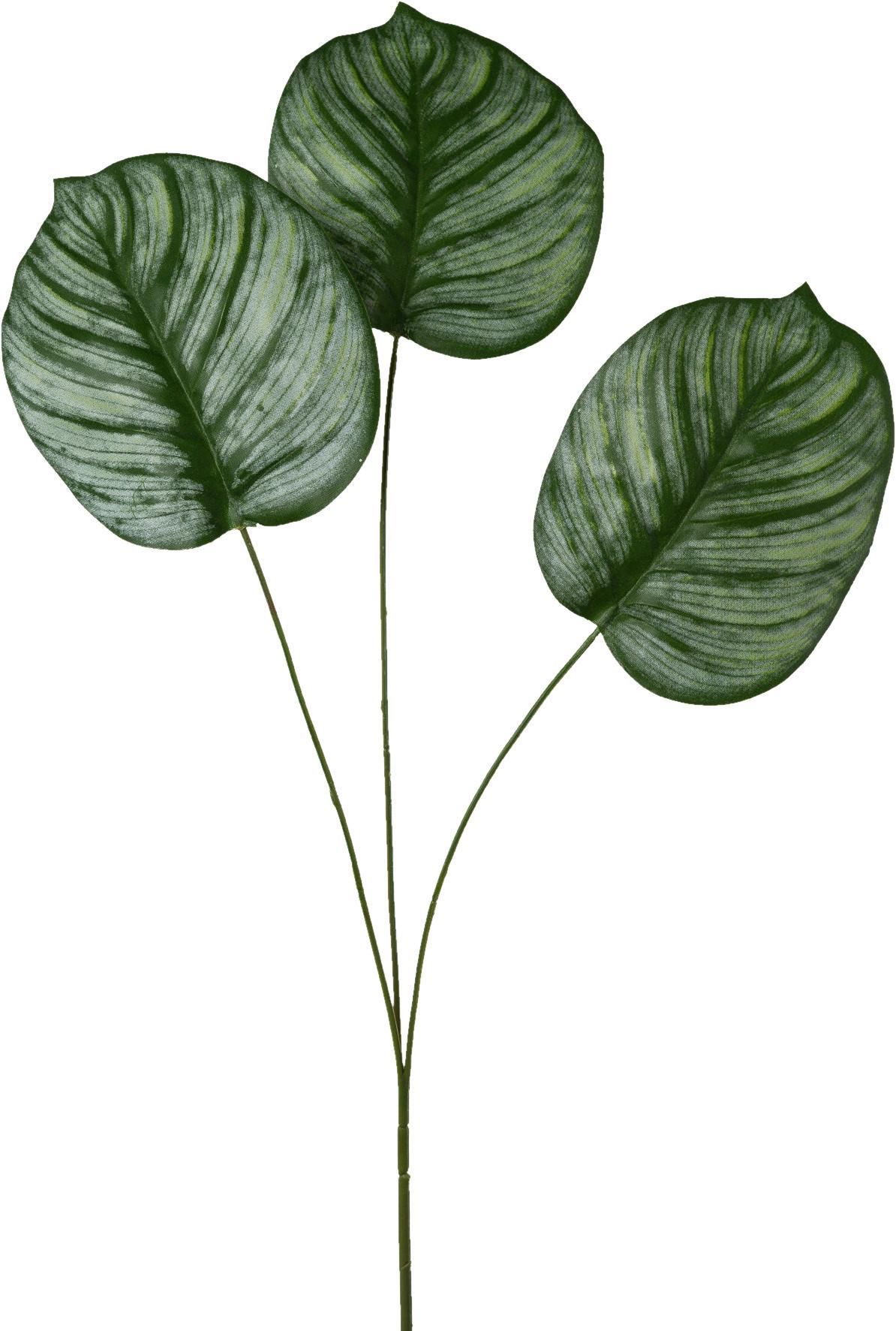 Kunstpflanze Calatheablatt Grün L: 72cm, Thea - Grün, Natur, Kunststoff (72cm)