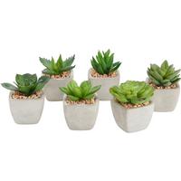 UMELÁ RASTLINA SUKKULENTE - zelená, Lifestyle, plast (7-9cm) - Modern Living