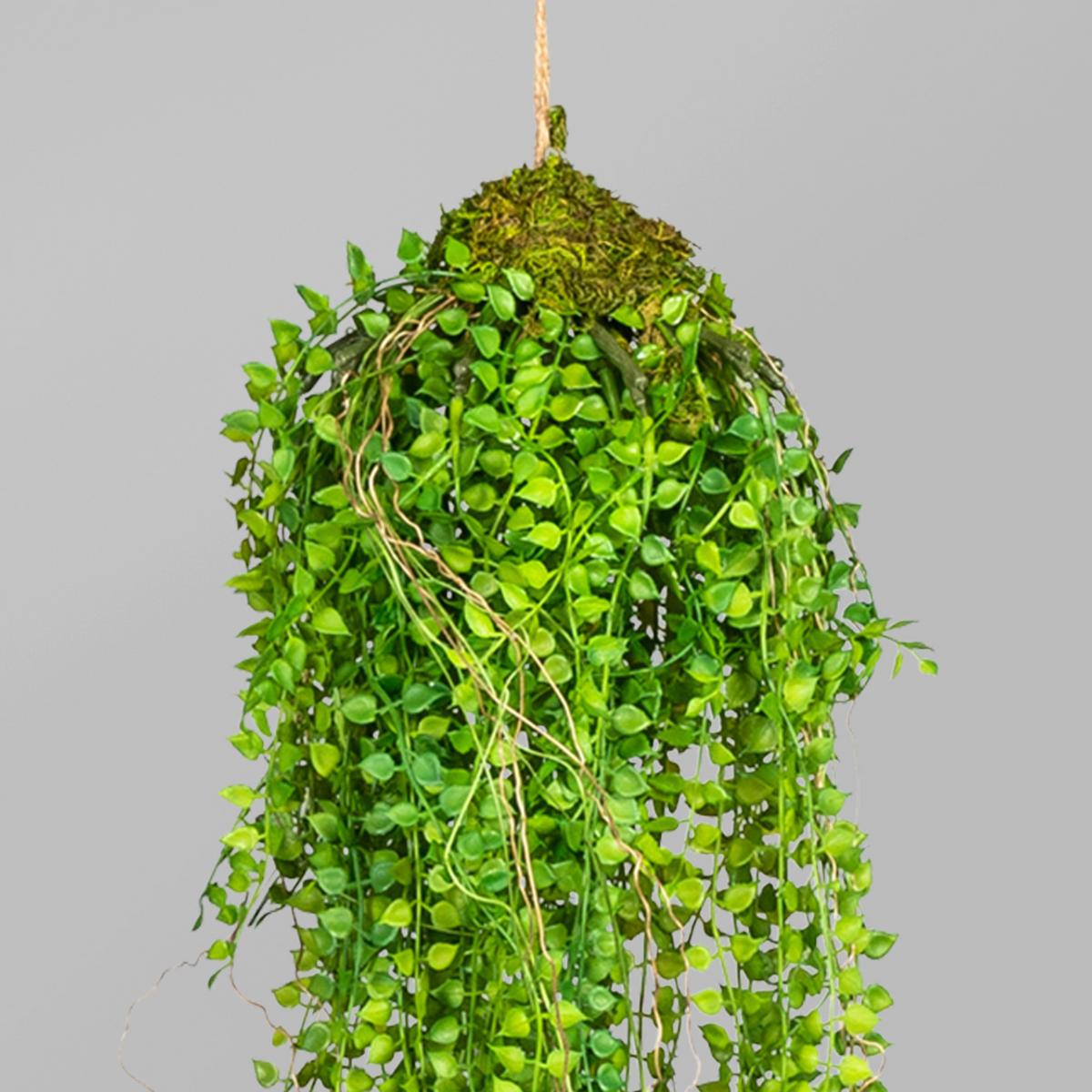Kunstpflanze H: 70 Cm - Grün, Basics, Kunststoff (70cm) - P & B