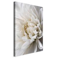 OBRAZ NA PLÁTNE WHITE DAHLIA - biela/sivobiela, Basics, kompozitné drevo/textil (40/60/1.2cm) - artgeist