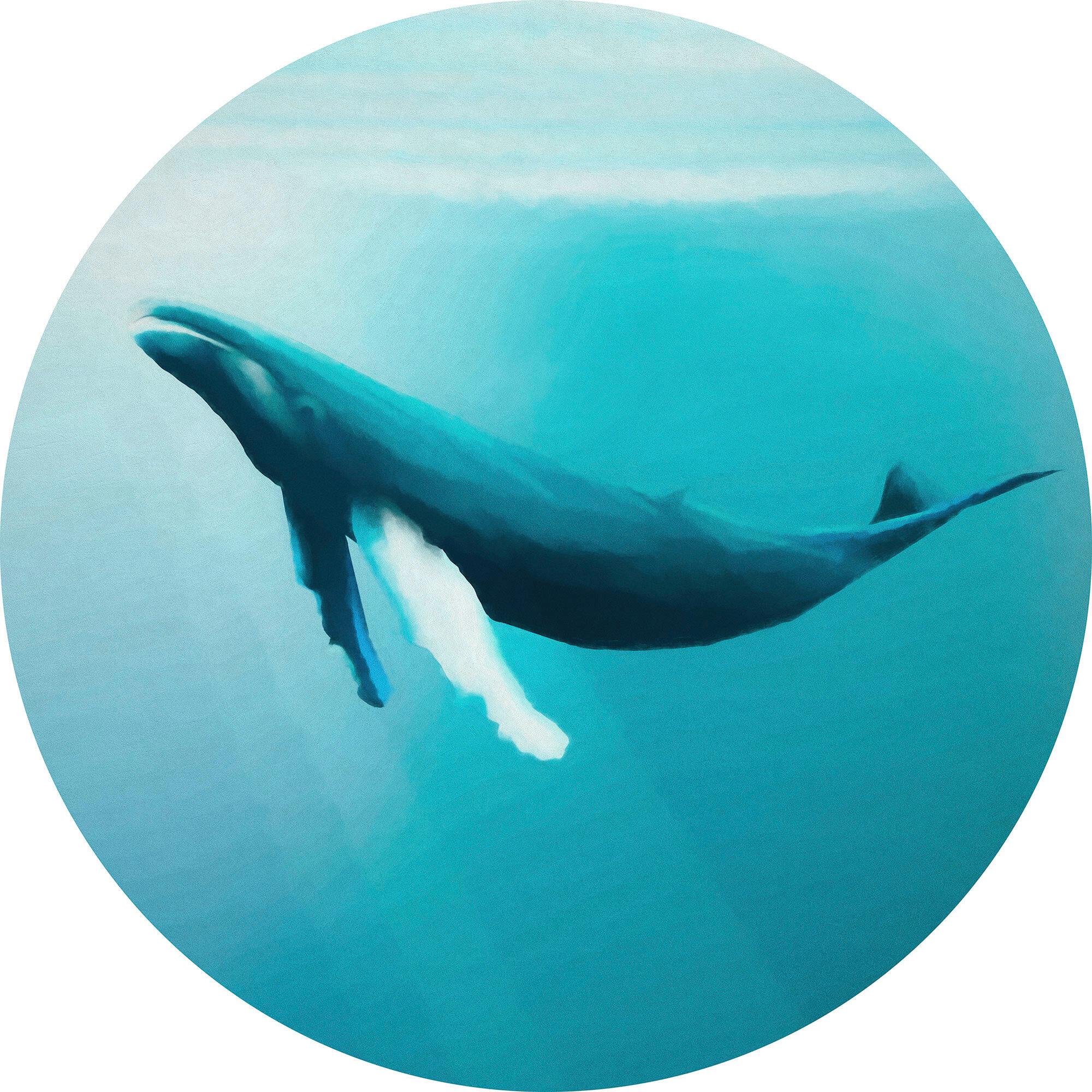 Fototapete D1-081 Whale Watching - Blau, Trend (125/125cm)