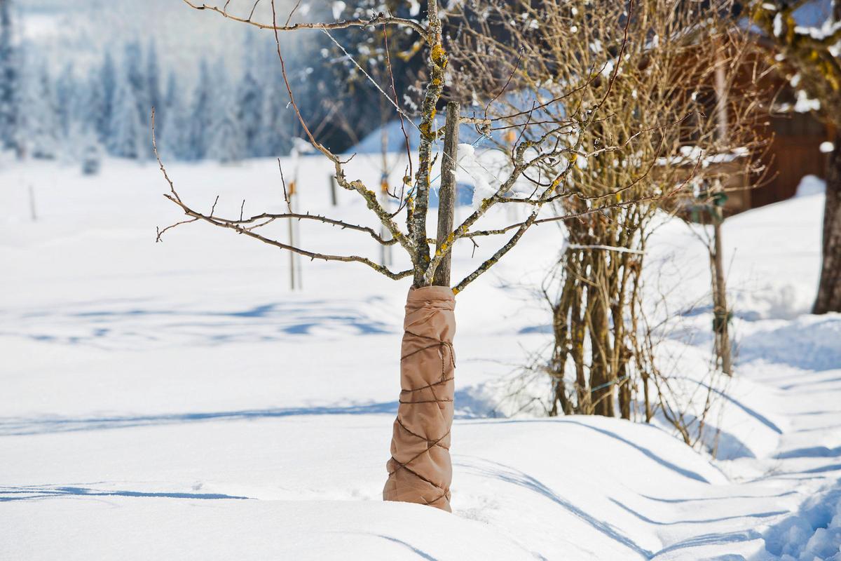 Winter-vlies 150x300 Cm Witterungsbeständig - Beige, Basics, Kunststoff (150/300cm) - Windhager