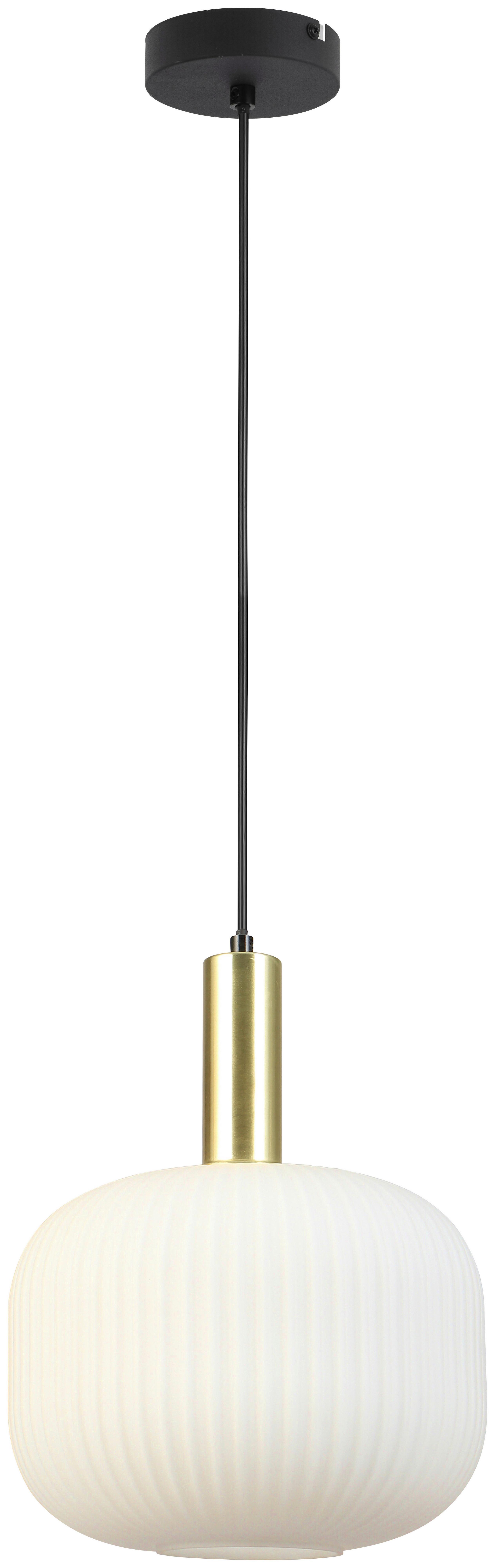 ZÁVĚSNÉ SVÍTIDLO SCHER - bílá/černá, Moderní, kov/sklo (25.5/120cm) - Mömax