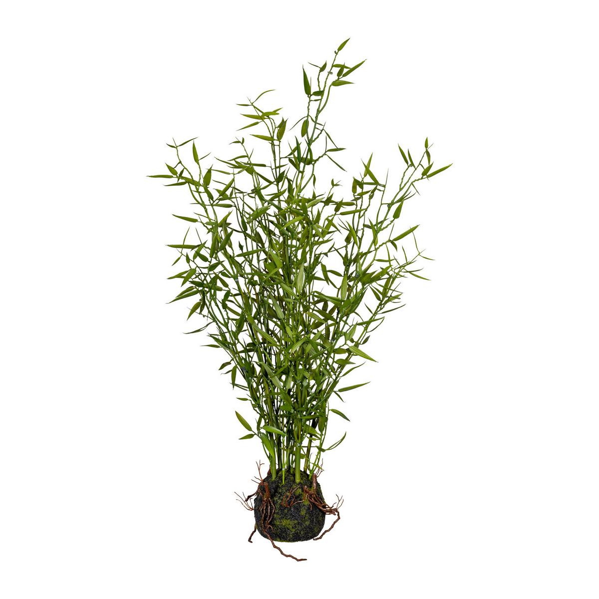 Kunstpflanze Grünpflanzen Grün/Braun, 60 cm - Braun/Grün, Design, Kunststoff (60cm) - P & B