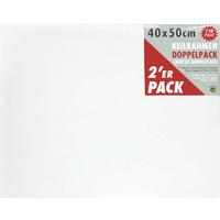 Malířské plátno LEONARDO 2KS / 40/50 cm - bílá, Basics, karton/textil (40/50cm) - Premium Living