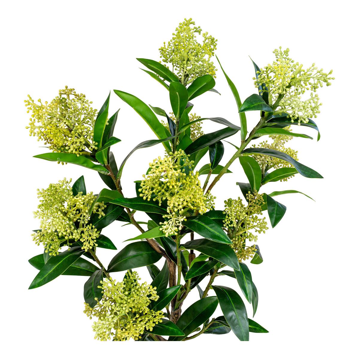 Kunstpflanze Skimmia H: 75 Cm Grün Schwarz - Schwarz/Grün, Basics, Kunststoff (75cm)