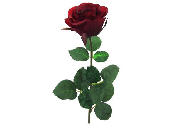 Rose Langstiel Rot - Rot/Grün, KONVENTIONELL, Kunststoff/Textil (69cm) Rose Langstiel Rot - Rot/Grün, KONVENTIONELL, Kunststoff/Textil (69cm)