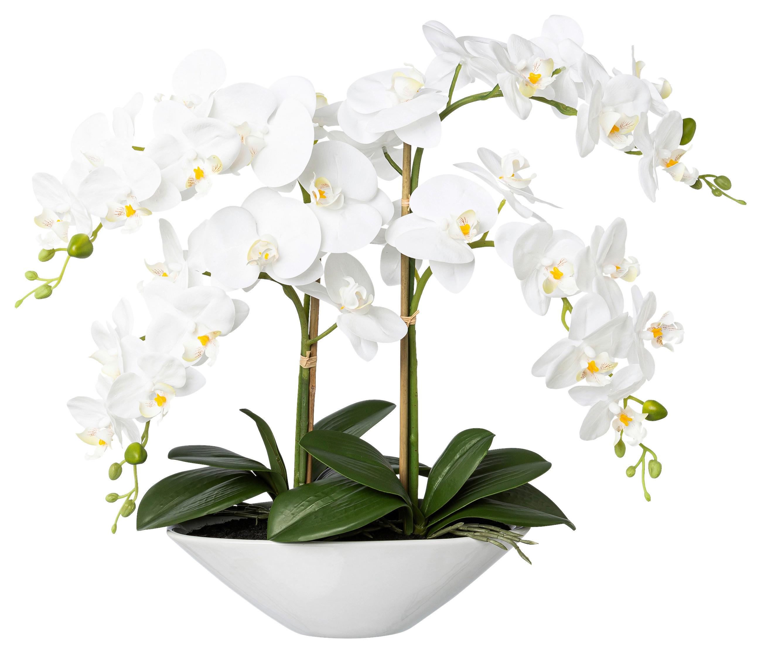 Kunstpflanze Orchideen Weiß, Topf: Weiß, H: 53 cm - Weiß/Grün, Design, Keramik/Kunststoff (53cm)