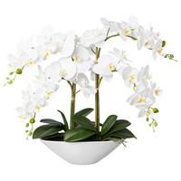 Kunstpflanze Orchideen Weiß, Topf: Weiß, H: 53 cm - Weiß/Grün, Design, Keramik/Kunststoff (53cm)