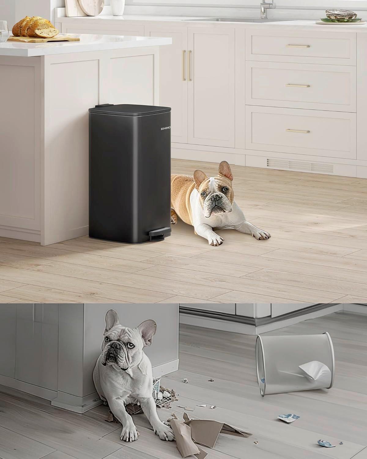 Abfallsammler Schwarz B: 28,5cm - Schwarz, Basics, Kunststoff/Metall (28,5/54,4/34cm)