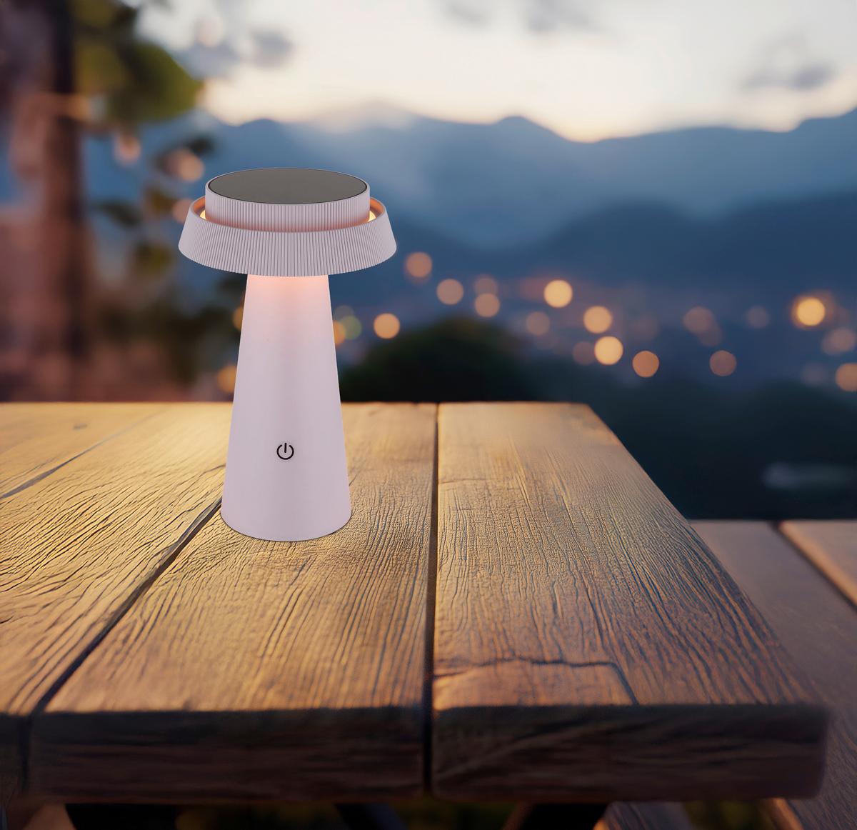 Solarleuchte Memory-Funktion - Pink/Schwarz, Design, Kunststoff (14/23cm) - Globo