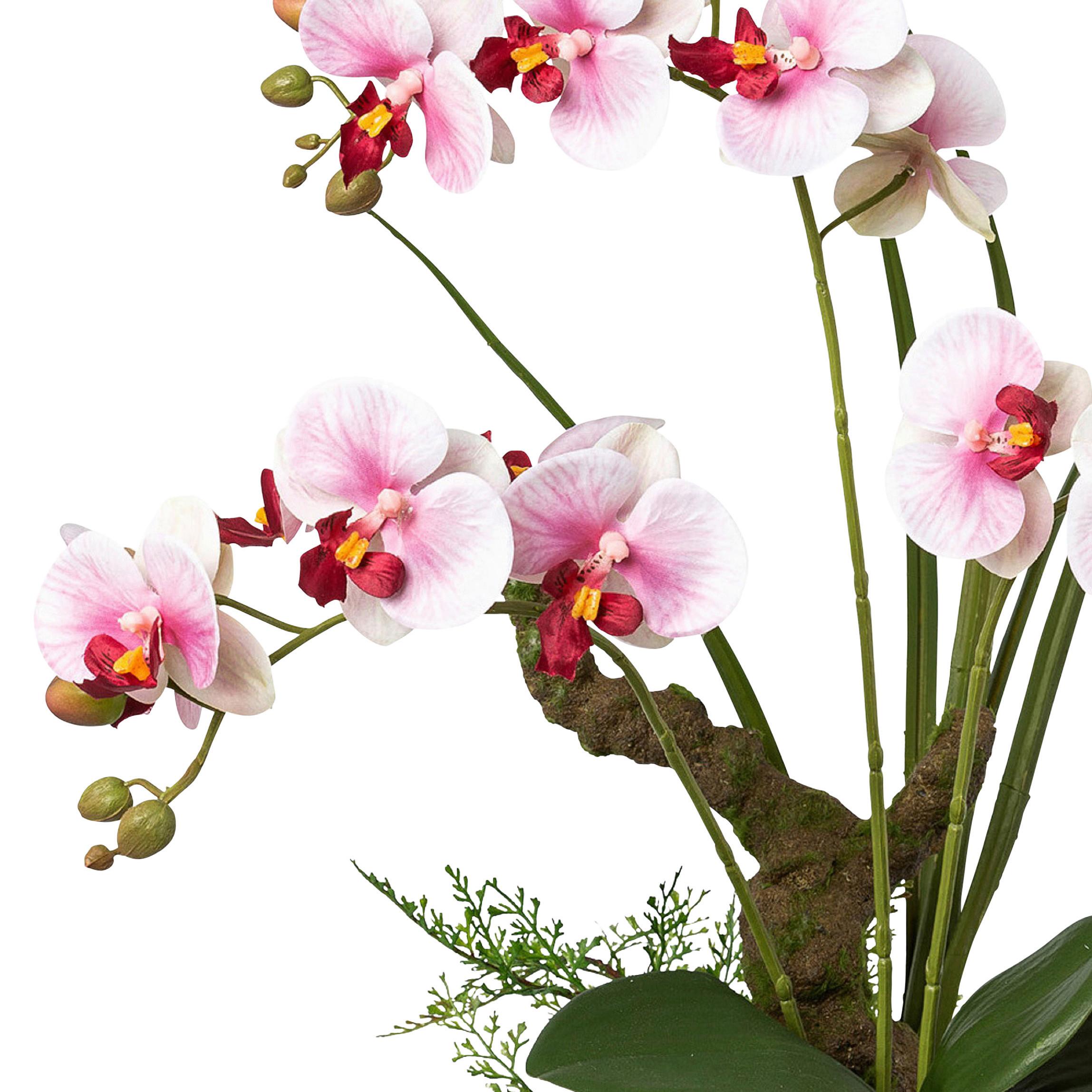 Kunstpflanze Orchideen Rosa, Topf: Weiß, H: 46 cm - Rosa/Weiß, Design, Keramik/Kunststoff (46cm) - P & B