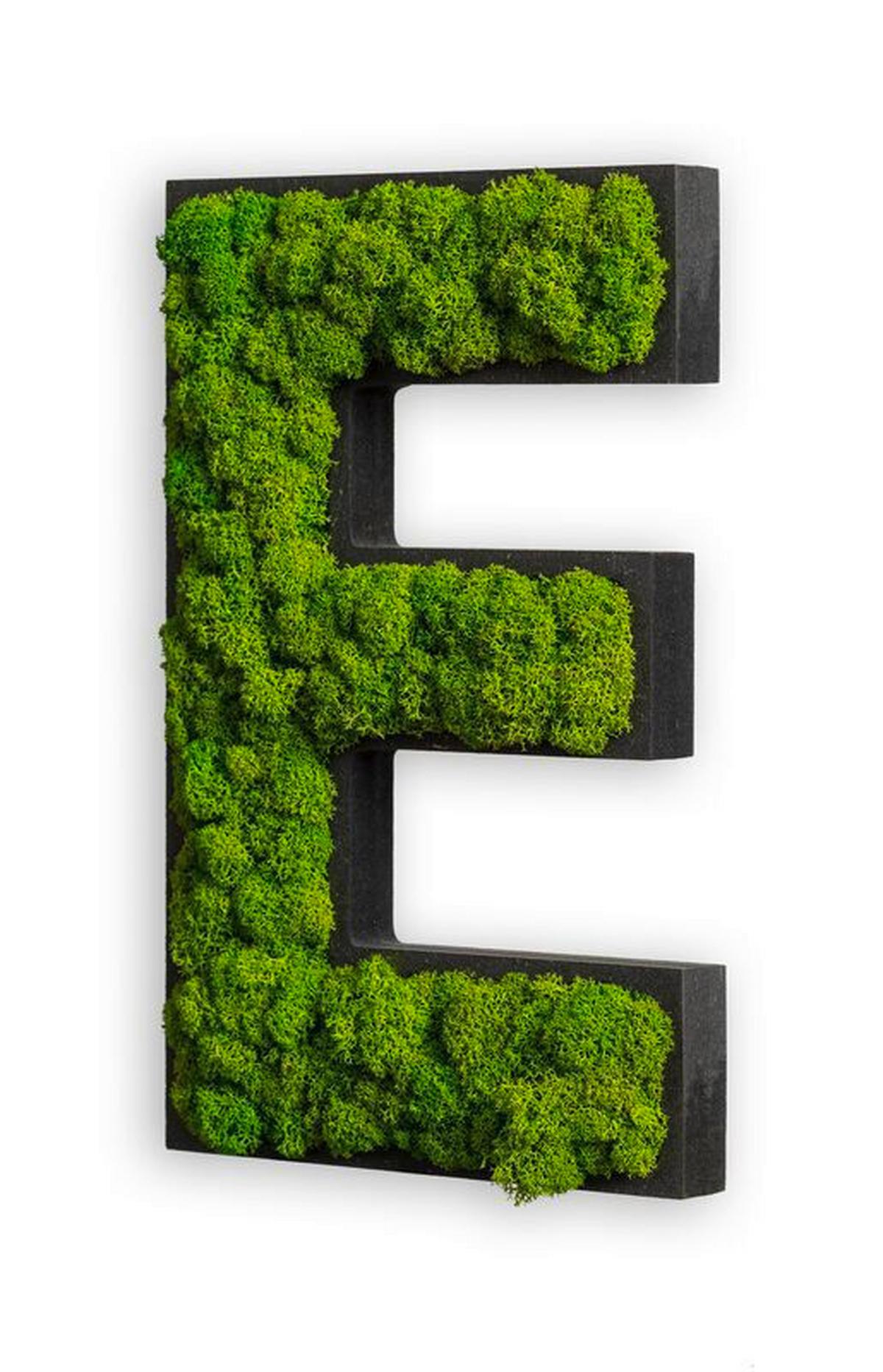 Moosbild Grün B: 26 Cm - Schwarz/Grün, Basics, Naturmaterialien/Holz (26/16/4cm)
