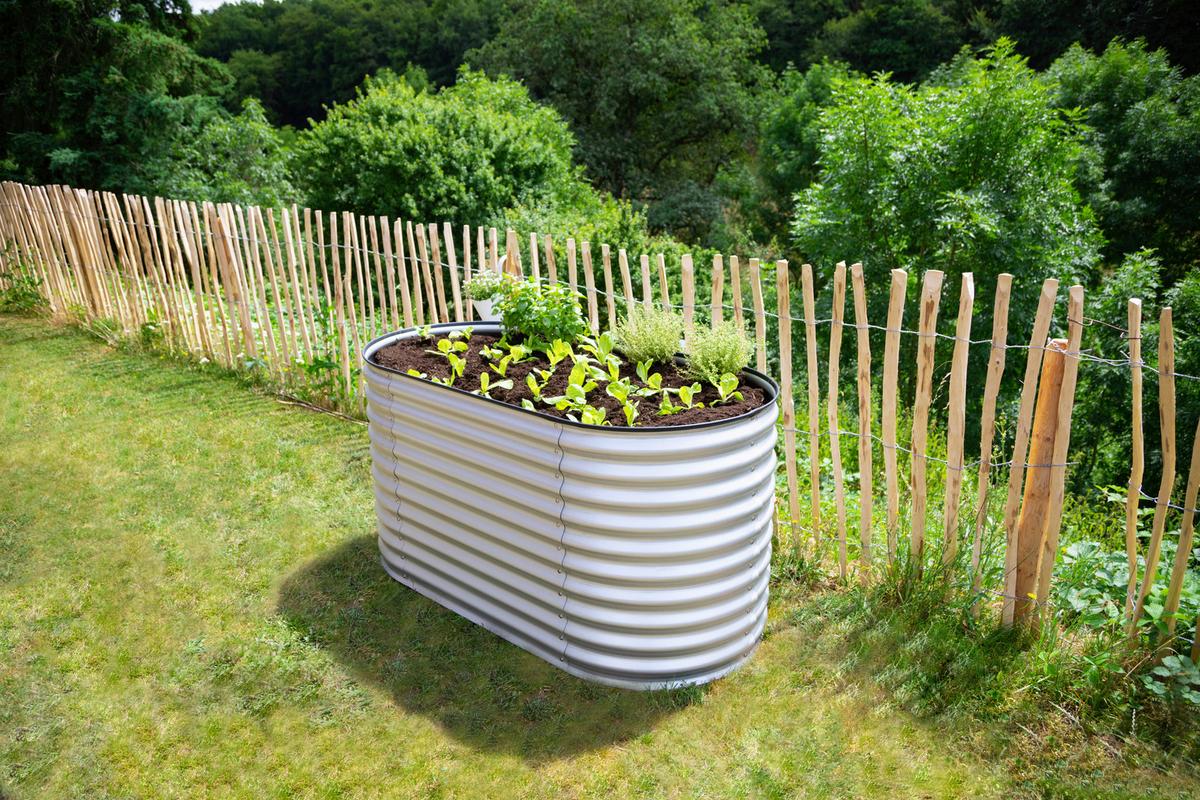 Hochbeet Metall Hochbeet Oval 160 Cm - Silberfarben, Basics, Metall (160/82/80cm)