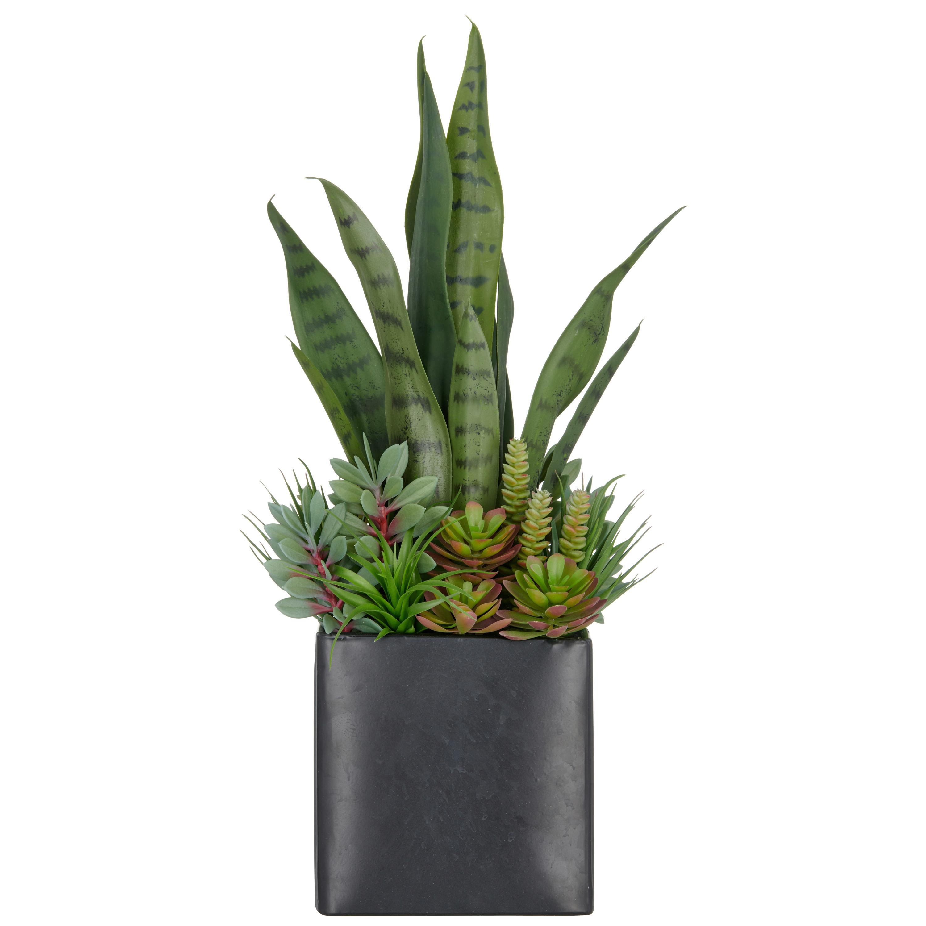 SUKKULENTE Grün Schwarz B: 19 cm - Schwarz/Grün, Basics, Kunststoff/Metall (55cm)