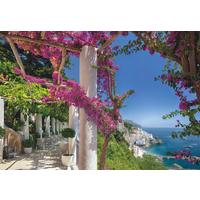 Fototapete 8-931 - Multicolor, Natur, Papier (368/254cm)