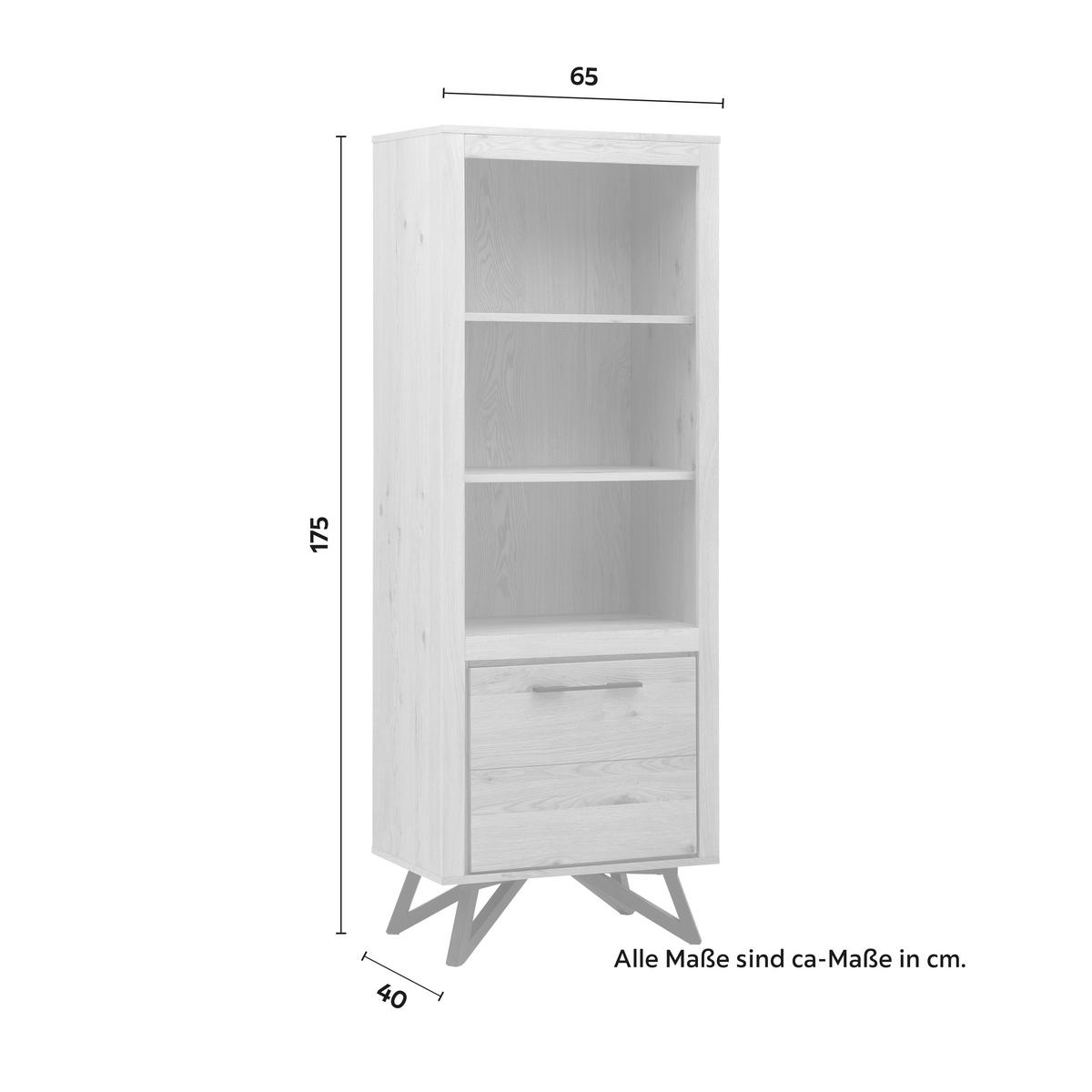 Vitrína EMILIO dub - čierna/farba duba, Modern, kov/drevo (65/175/40cm) - Bessagi Home