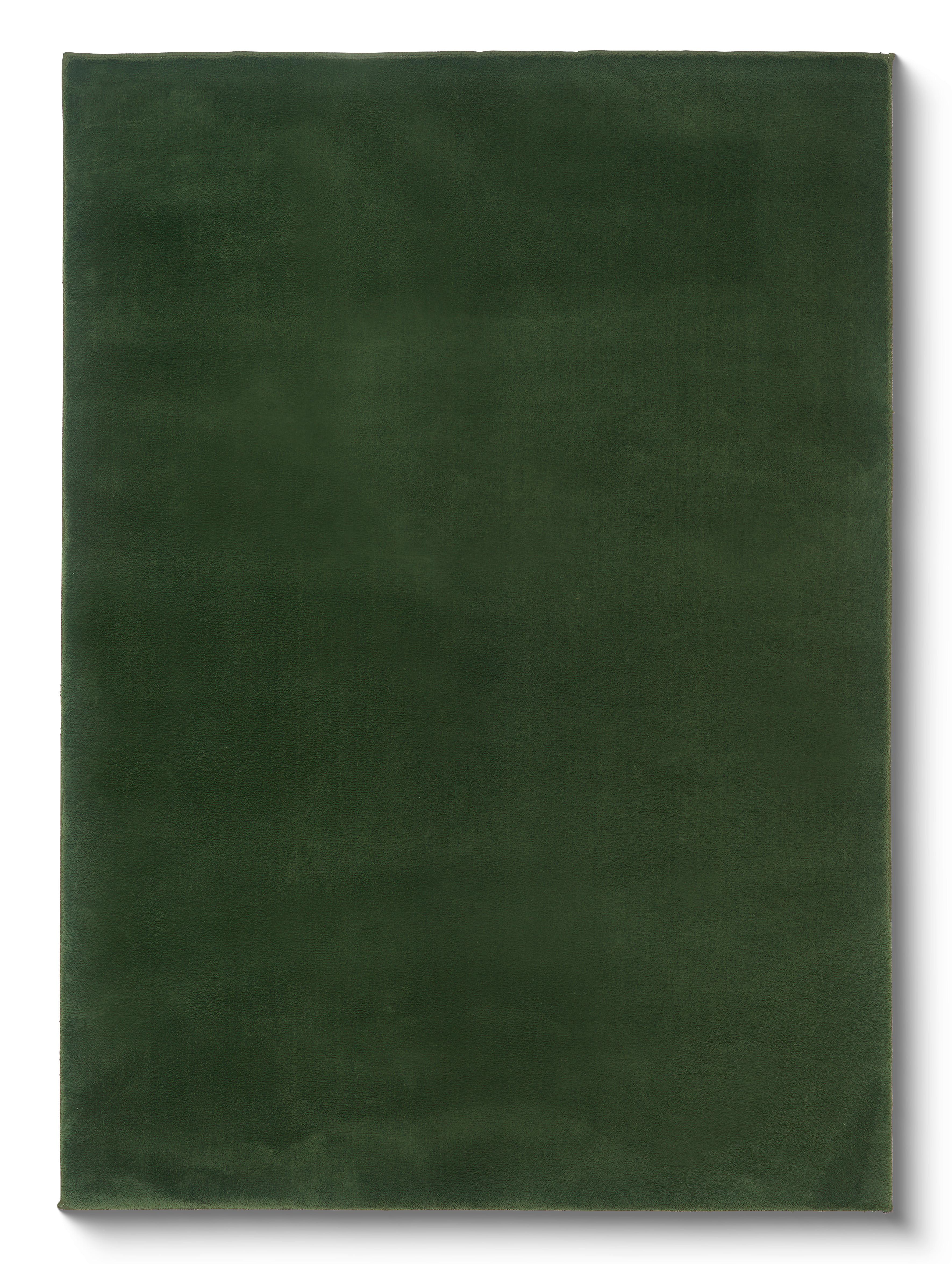 Teppich Finja - Grün, MODERN, Textil (160/230cm) - Luca Bessoni