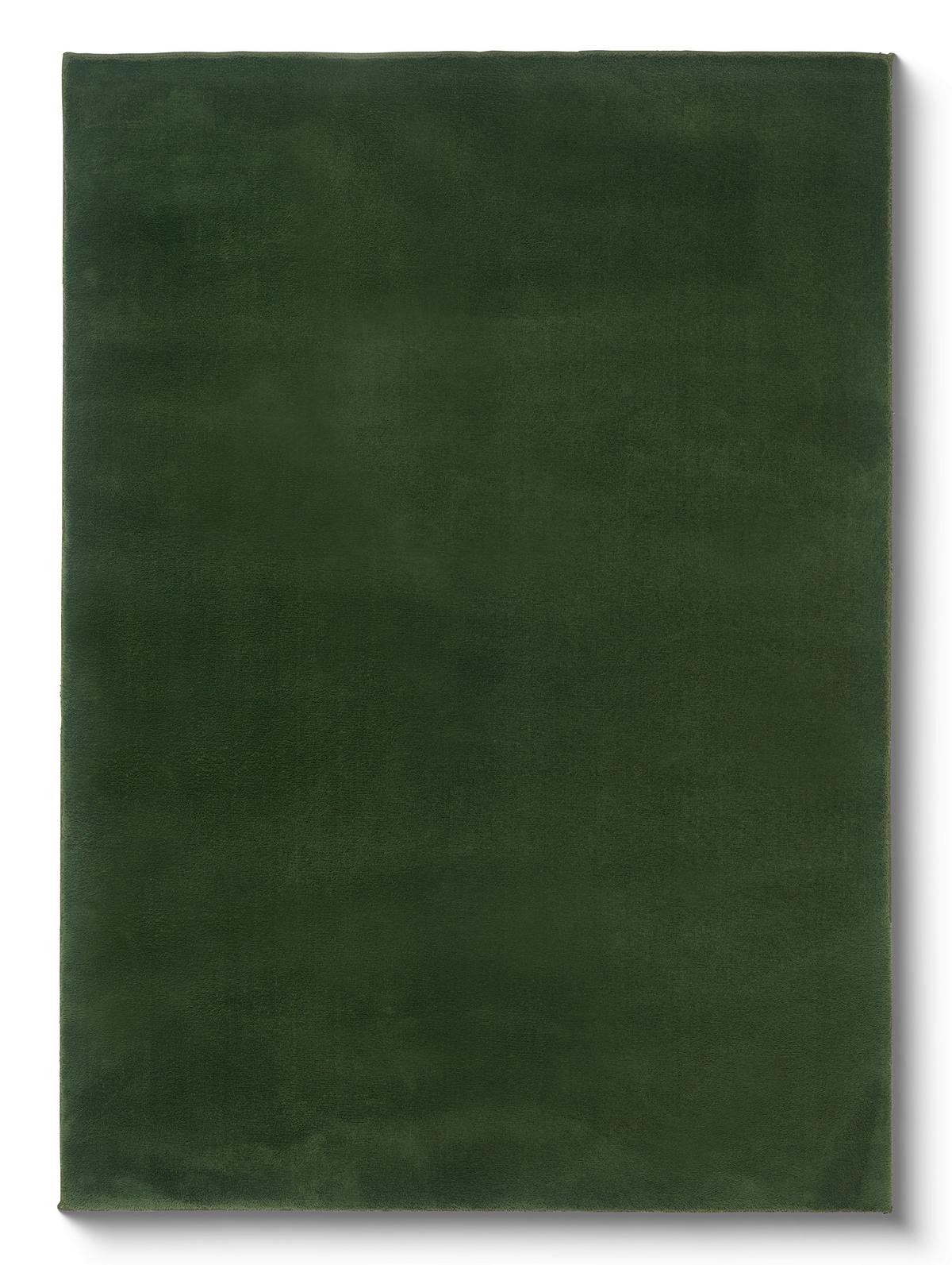 Teppich Finja - Grün, MODERN, Textil (160/230cm) - Luca Bessoni