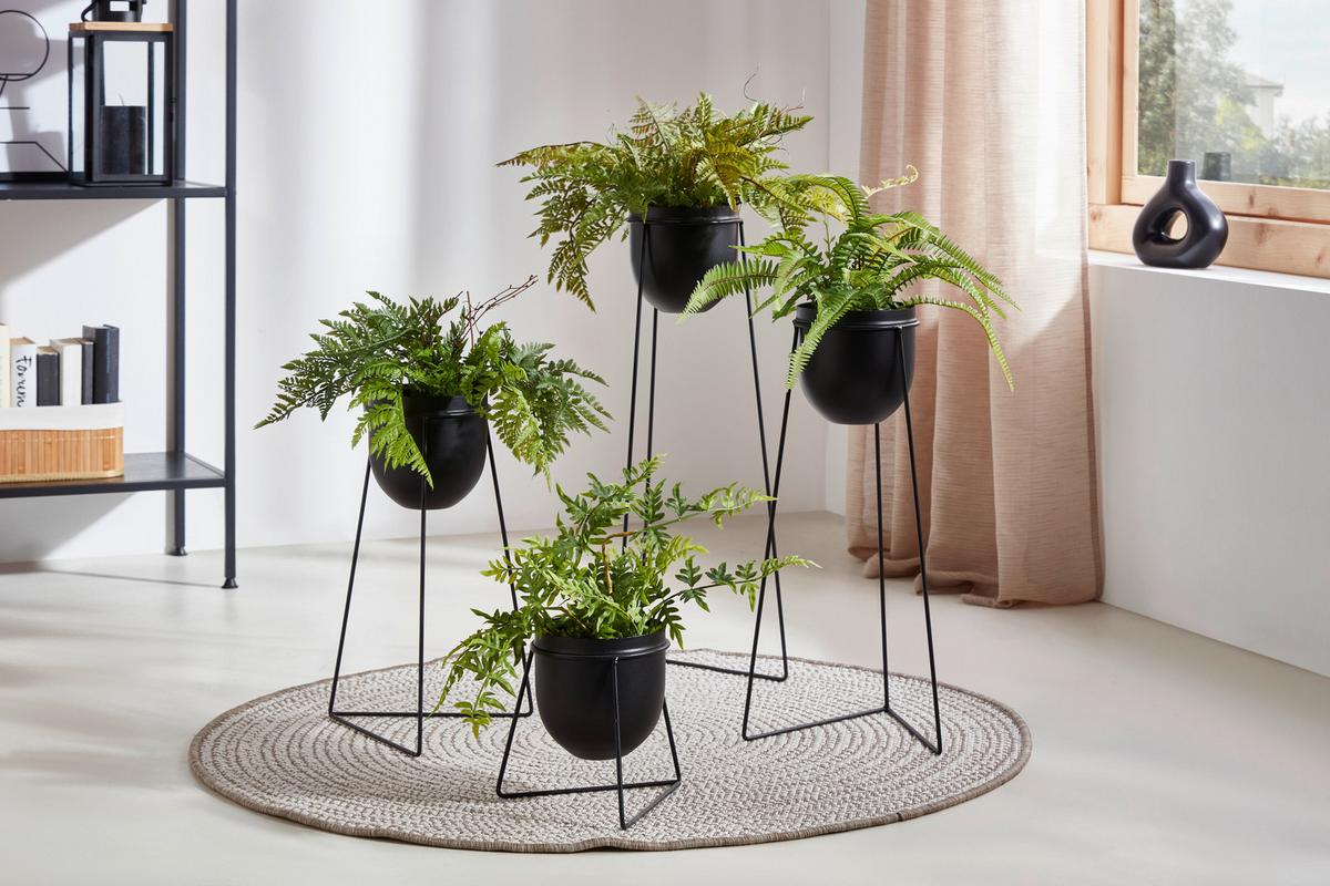 Dekoračná rastlina Farn, V: 40cm - zelená, Basics, plast (40cm) - Modern Living