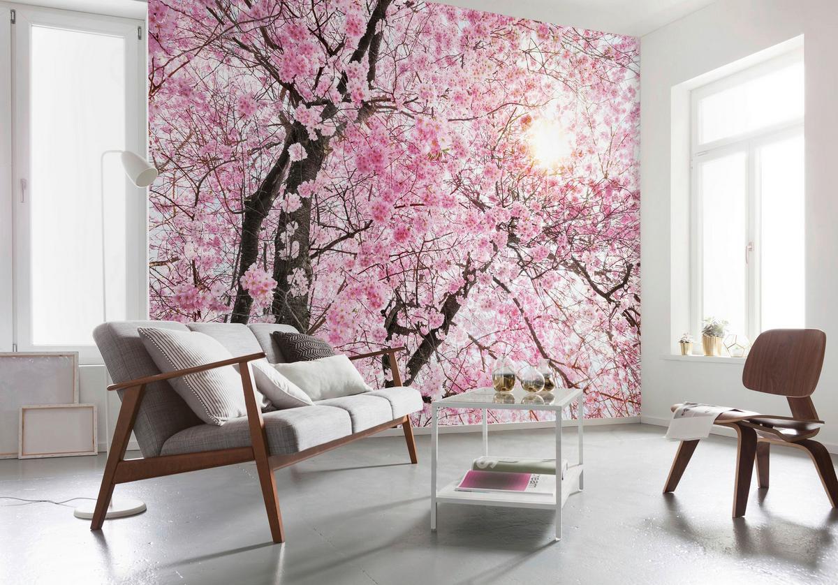 Vliestapete Bloom - Braun/Rosa, Basics (400/260cm) - Komar